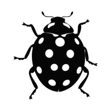 Uğur böceği ikonu. Beyaz arkaplanda uğurböceği vektör simgesinin siyah çizimi.