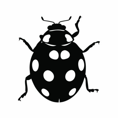 Uğur böceği vektör illüstrasyonuName