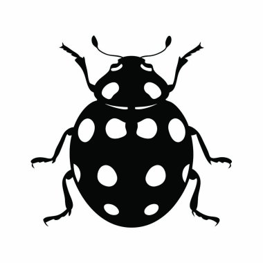 Böcek ve böcek sembolünün vektör tasarımı. Ağ için böcek ve böcek sembolü koleksiyonu.