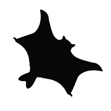 Beyaz arka planda izole edilmiş bir balina silueti, vektör, illüstrasyon,