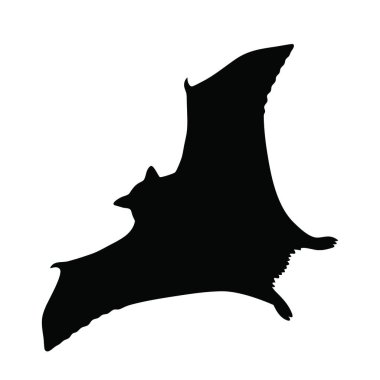 uçan bir yarasa siluet vektör