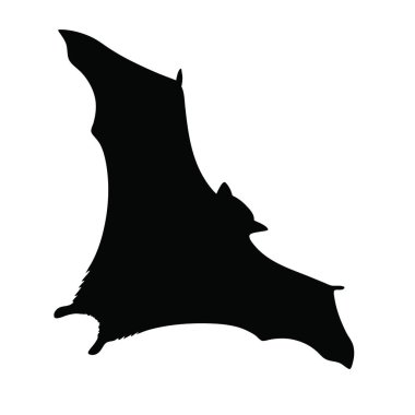 Beyaz arkaplanda yarasanın siyah silueti