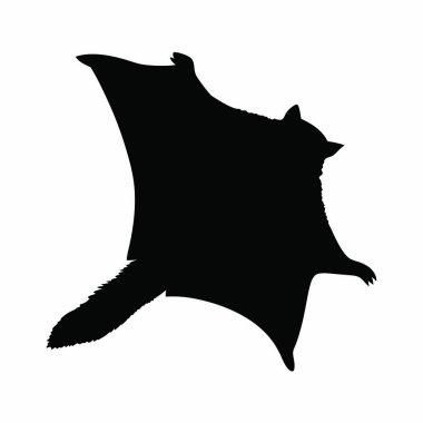 Yarasa silueti. Beyaz arkaplanda yarasanın Cadılar Bayramı sembolü