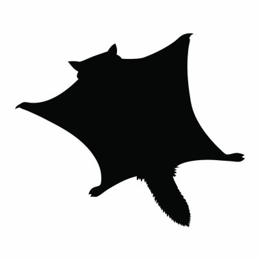 black silhouette of a bat