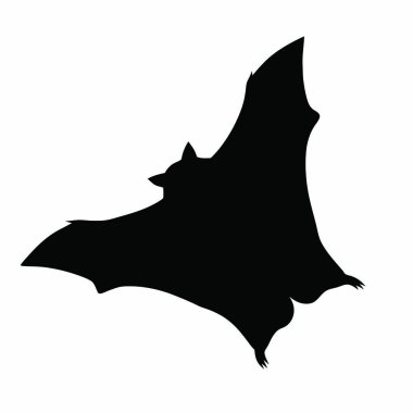 black silhouette of a bat
