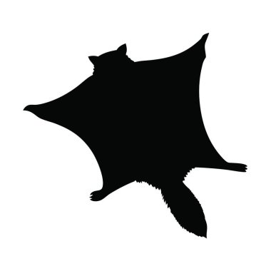 Bir kedinin silüeti