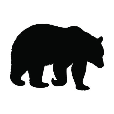 Siyah ayı silueti, hayvan vektör çizimi