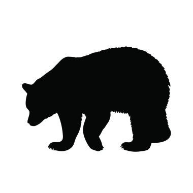 Ayı silueti. İzole edilmiş arkaplanda vektör illüstrasyonu.