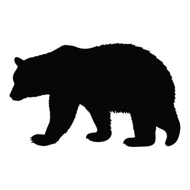 Siyah ayı silueti beyaz arkaplanda izole edildi.