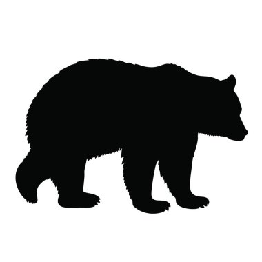 Ayı silueti. Beyaz arkaplanda vektör simgesi