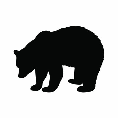 Siyah ayı ikonu. Siyah siluet. vektör