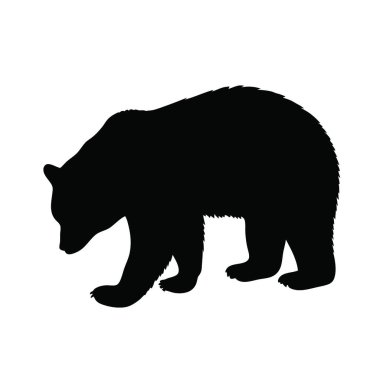 ayı vektör simgesi logosu