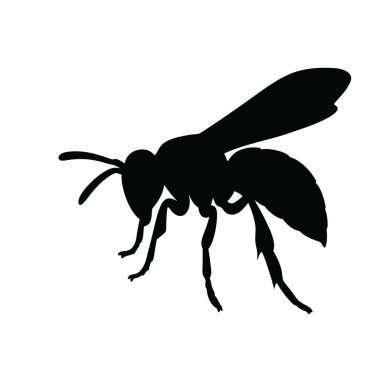 izole edilmiş siyah karınca simgesi vektörü