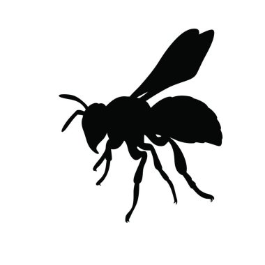 Eşek arısı ikonu. vektör illüstrasyonu