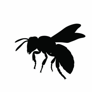 Arı simgesi. Arı vektör illüstrasyonu