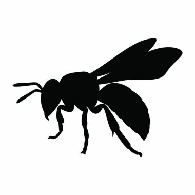 Beyaz arkaplandaki izole edilmiş arı simgesi, vektör illüstrasyonu