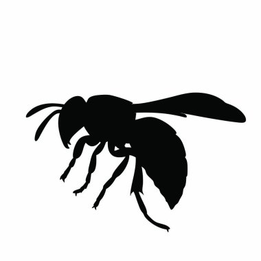 Beyaz arkaplanda izole edilmiş siyah karınca simgesi, vektör illüstrasyonu
