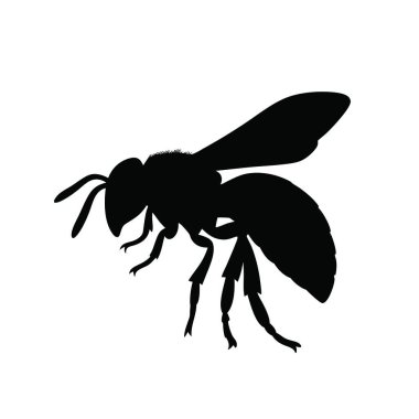 Beyaz arkaplanda siyah arı silueti.