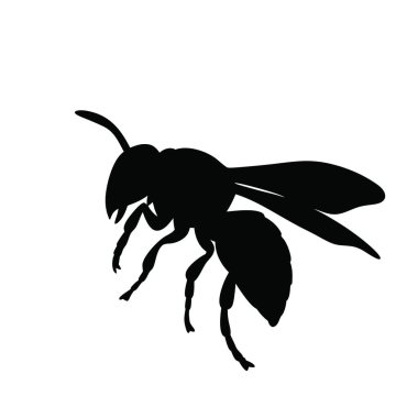 İzole edilmiş arı simgesi. vektör.