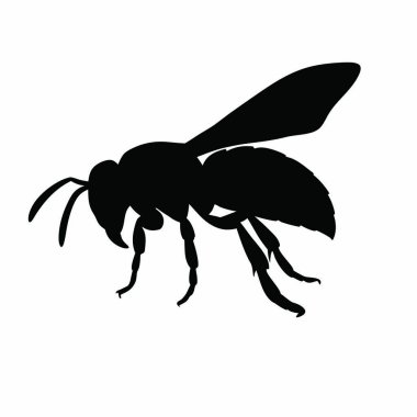 Arı ve sinek logosunun vektör tasarımı. Bir dizi arı ve sinek ağı sembolü.