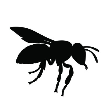 Beyaz arka planda siyah bir arı silueti. vektör illüstrasyonu