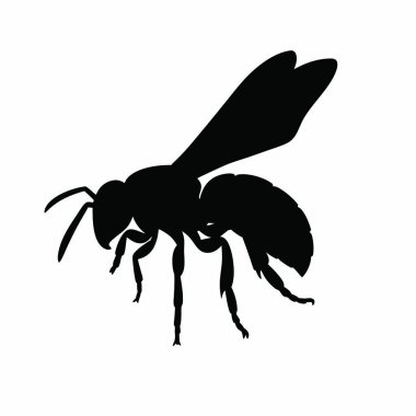 Beyaz arkaplanda siyah bir arı silueti