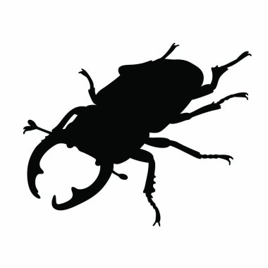 Siyah böceğin siyah silueti.