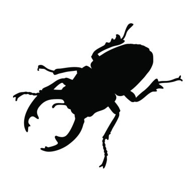 Bir böceğin siyah silüetine sahip vektör çizimi.