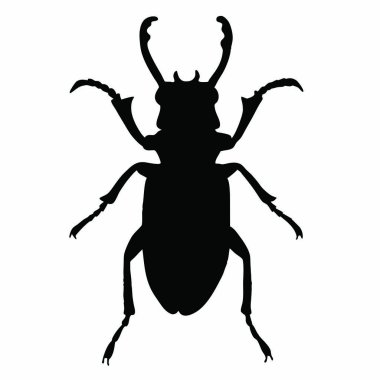 Bir böceğin silueti, vektör çizimi