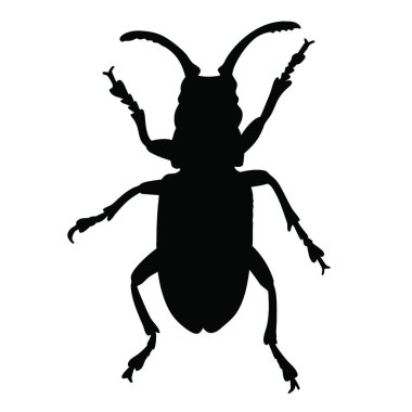 Beyaz arkaplanda böcek simgesi