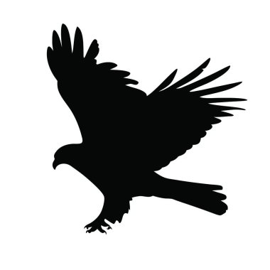 Kartal siyah silueti izole edilmiş vektör çizimi. kartal simgesi