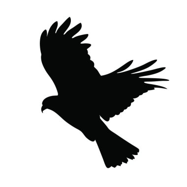 Siyah kartal silueti. izole vektör illüstrasyonu