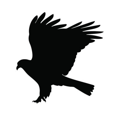 Beyaz arka plan üzerinde izole Kara Kartal siluet