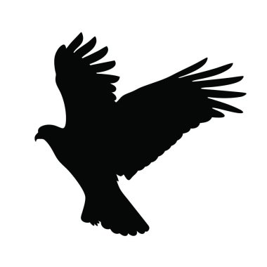 Beyaz arkaplanda kartal silueti var. vektör illüstrasyonu.