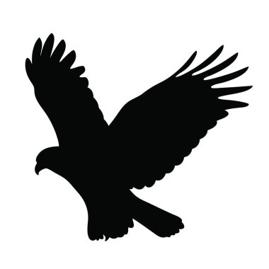 Beyaz arkaplanda siyah kartal