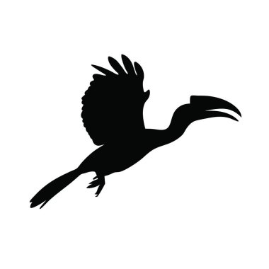 vektör siyah kuş silueti