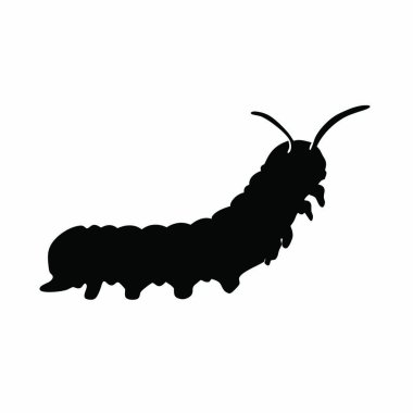 Uzun gölgeli siyah tırtıl silueti.