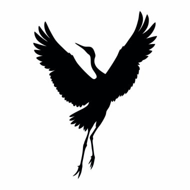 Siyah kuş silueti. Siyah siluet beyaz arkaplanda izole edildi.