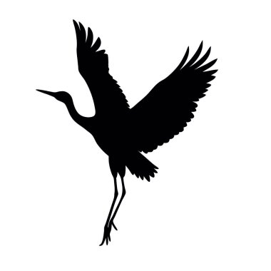 Beyaz arkaplanda kuşun vektör silueti.