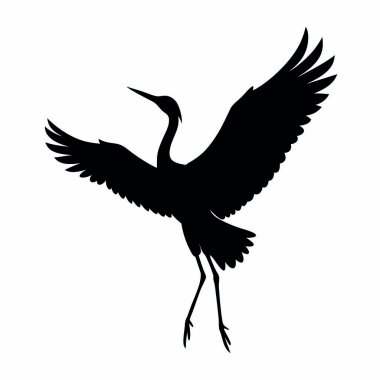 Beyaz arkaplanda siyah leylek