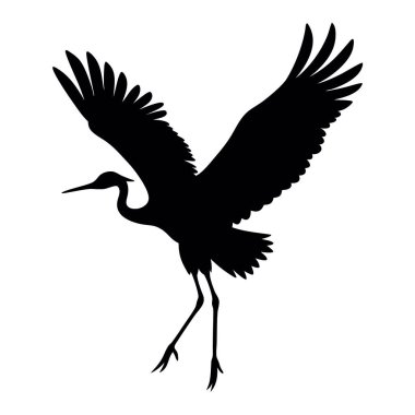 kuş siyah silueti beyaz arkaplanda izole edildi