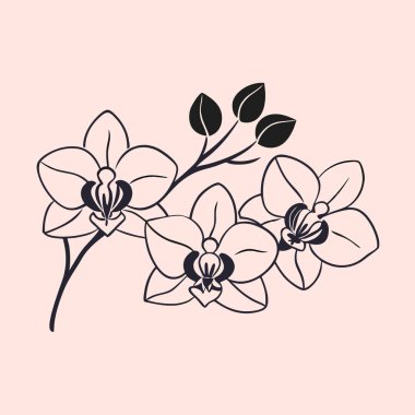 Güzel orkide çiçek simgesi