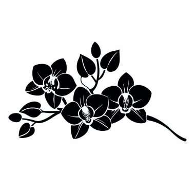 Siyah orkide çiçeğinin vektör çizimi.