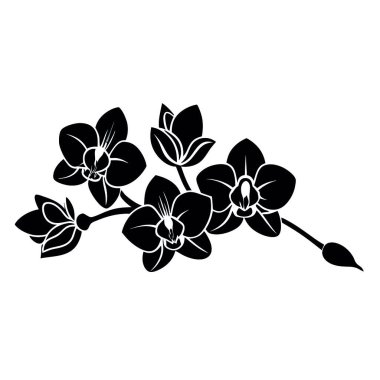 güzel bir çiçeğin siyah beyaz vektör çizimi.