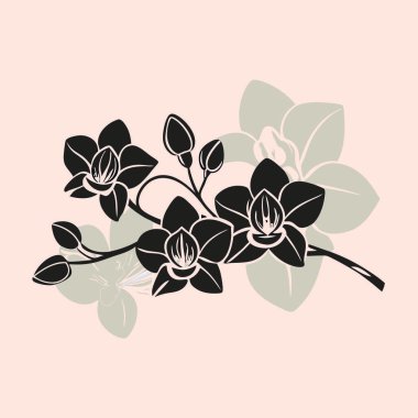 Güzel çiçek dekorasyonu izole edilmiş simge