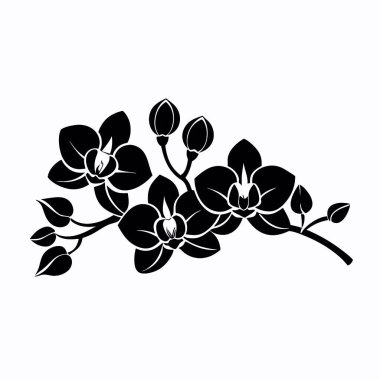 Bir ağacın silueti