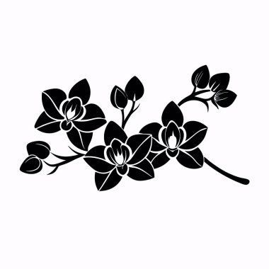 Çiçek desenli güzel bir çiçeğin vektör çizimi.