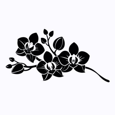 Çiçek ve yaprakların vektör çizimi, çiçek elementleri kümesi ve siyah stok vektör illüstrasyonu.