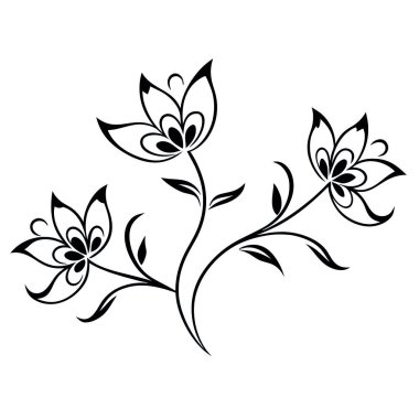 vektör el çizimi çiçek illüstrasyonu
