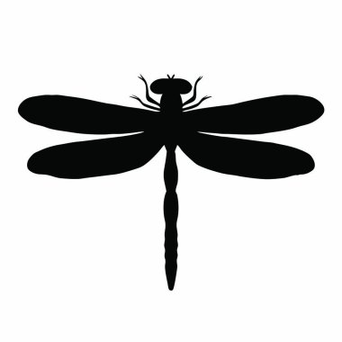 Beyaz üzerine izole edilmiş bir yusufçuk sineğinin siyah silueti. vektör illüstrasyonu